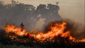 Πολύ υψηλός κίνδυνος πυρκαγιάς προβλέπεται το Σάββατο για 4 περιφέρειες της χώρας