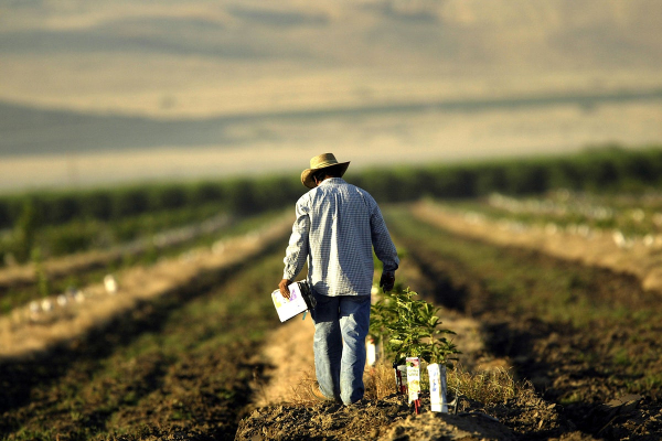 Τροποποίηση των αποφάσεων για ecoschemes, βιολογική γεωργία &amp; κτηνοτροφία.