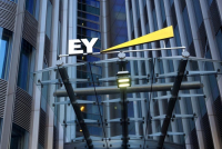 Μελέτη EY: Ελλιπής η πληροφόρηση σχετικά με τις εξαρτήσεις και επιπτώσεις των επιχειρήσεων στη φύση