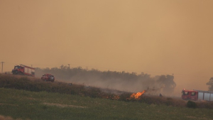 Συνεχίζεται η μάχη με τις φλόγες στον Έβρο- Οι εξελίξεις στα μέτωπα των πυρκαγιών
