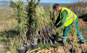Αττική Οδός: Συμμετέχει στο πρόγραμμα «το δάσος μας»