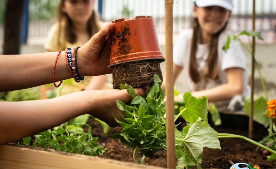 «Μικροί Καλλιεργητές»: Εκπαιδευτικό πρόγραμμα από την Μπάρμπα Στάθη