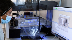 Ευλογιά των πιθήκων: Μπορεί να εξελιχτεί σε νέα πανδημία; Τι ξέρουμε γι’ αυτήν έως τώρα