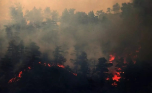 Κύπρος: Συνεχίζει ανεξέλεγκτο να καίει το μέτωπο στο Άρσος της επαρχίας Λεμεσού