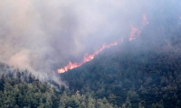 Αστεροσκοπείο: Η πυρκαγιά του Αυγούστου στη Θάσο έκαψε 2.770 στρέμματα