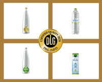 ΘΕΟΝΗ: Νέα διεθνής διάκριση στα DLG Awards