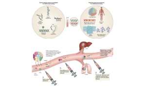 Υγρή βιοψία: Επαναπροσδιορίζοντας τη διαγνωστική και εξατομικευμένη θεραπεία στον καρκίνο