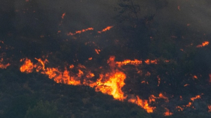 Ρόδος: 135.000 στρέμματα δασικής έκτασης κάηκαν στο νησί, σύμφωνα με το πανεπιστήμιο Αθηνών