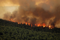 Στο όρος Πατέρας, προς το Πεδίο Βολής Μεγάρων, το μεγάλο μέτωπο της πυρκαγιάς στα Βίλια