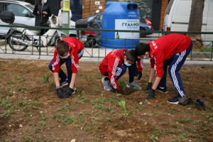 Πειραιάς: Δενδροφυτεύσεις στην παραλία της Φρεαττύδας και στα παρτέρια της Ζέας