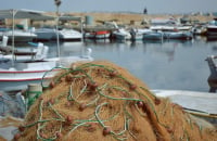 Εύβοια: Ένταξη έργου εξοπλισμού και αναβάθμισης αλιευτικού καταφυγίου στο ΕΠΑλΘ 2014-2020
