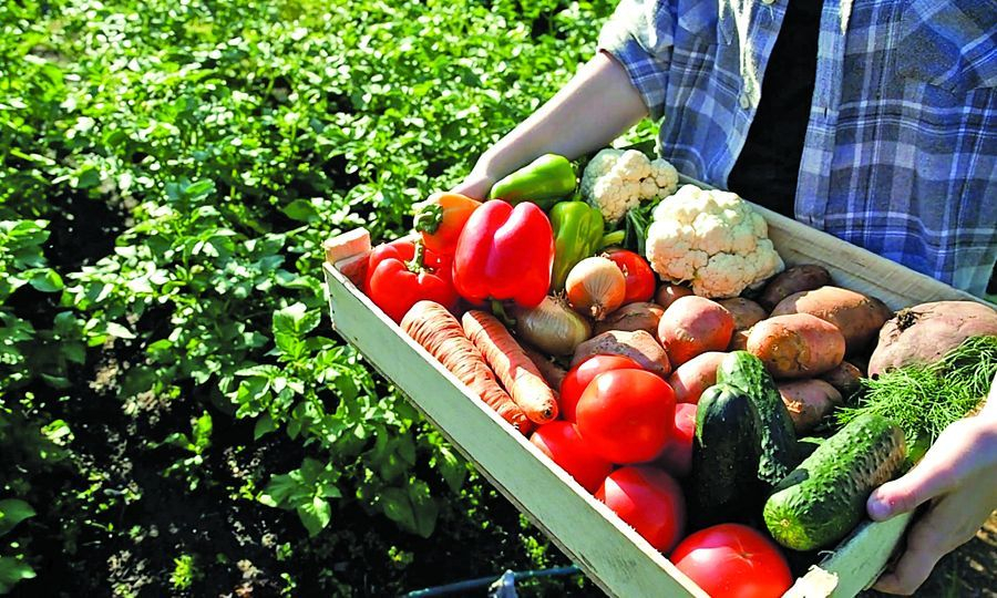 Προγράμματα για την προώθηση ελληνικών γεωργικών προϊόντων και οίνου, ύψους 180 εκατ.