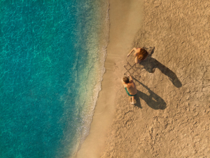 Όμιλος MITSIS: Επανασυστήνεται με νέα εταιρική ταυτότητα