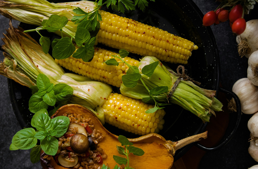 Η HellasVeg κατά της απαγόρευσης όρων σε φυτικά προϊόντα από το ευρωκοινοβούλιο