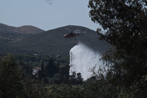 Φωτιά στην Ανάβυσσο: Ήχησε το 112 για απομάκρυνση από την περιοχή