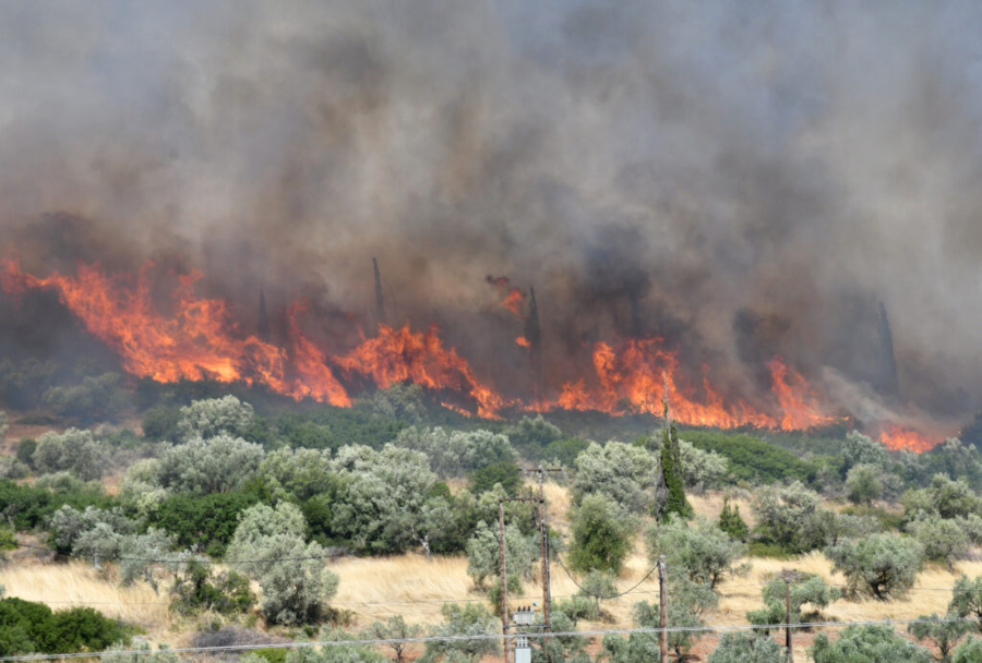 Μάχη με τις φλόγες δίνουν οι πυροσβεστικές δυνάμεις σε Βοιωτία και Αργολίδα