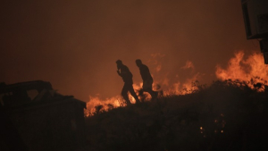 Ολονύχτια μάχη με τις φλόγες σε πολλαπλά πύρινα μέτωπα σε όλη την χώρα - Πώς εξελίσσεται το μέτωπο στη Φυλή