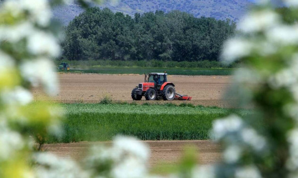 ΥΠΑΑΤ: Μελετάται ίδρυση Αγροτικών ΙΕΚ και Ψηφιακής Ακαδημίας Αγροτικής Ανάπτυξης