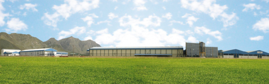 Ιntercomm Foods: H εταιρεία από τη Λάρισα που κάνει τζίρο 90 εκατ. ευρώ από ελαιόλαδο και φρούτα