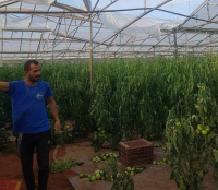 Ζημιές σε θερμοκήπια στα Φαλάσαρνα Κισσάμου προκάλεσαν οι ισχυροί ανεμοι