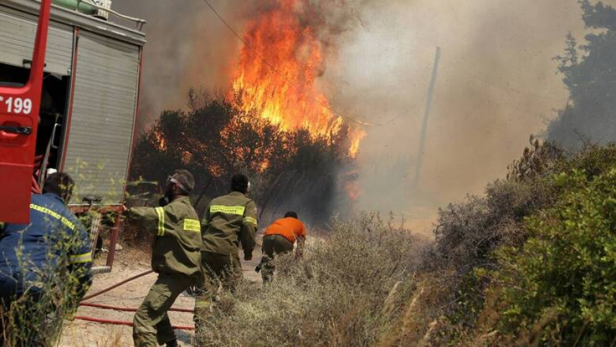 Σέρρες: Δασική φωτιά στο Νέο Πετρίτσι