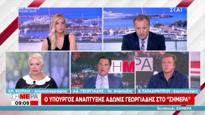 Γεωργιάδης σε ΣΚΑΪ: Απορρόφηση των αυξήσεων με μείωση φόρων και εισφορών (vid)