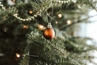 Πρόγραμμα ανακύκλωσης χριστουγεννιάτικων δέντρων