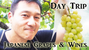 Τα σταφύλια της οργής: Ο "πόλεμος" της Ιαπωνίας με την Κίνα για τις απομιμήσεις...φρούτων