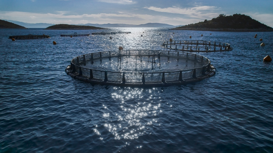 ΕΛΟΠΥ: Οικονομική ανάκαμψη και έντονος προβληματισμός για την αδιαφορία της Πολιτείας