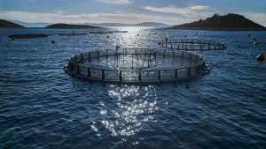 ΕΛΟΠΥ: Οικονομική ανάκαμψη και έντονος προβληματισμός για την αδιαφορία της Πολιτείας