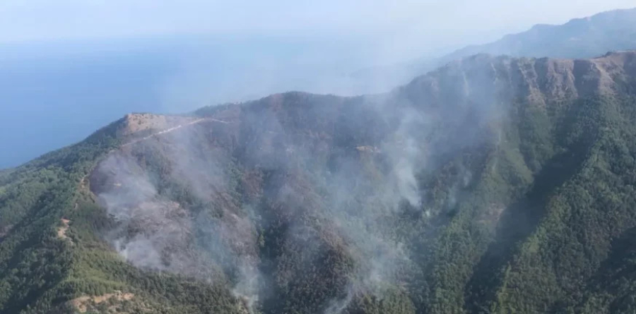 Θάσος: Υπό πλήρη έλεγχο η φωτιά στο νησί μετά τη μεγάλη αναζωπύρωση του Σαββάτου