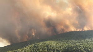 Πυροσβεστική: Ξέσπασαν 52 δασικές πυρκαγιές το τελευταίο 24ωρο