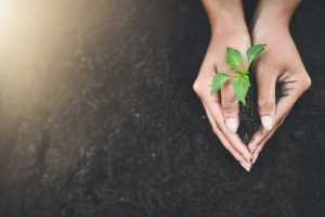 ΕΥ και Τράπεζας Πειραιώς: Ο ελληνικός αγροδιατροφικός τομέας αντιμέτωπος με προκλήσεις και ευκαιρίες