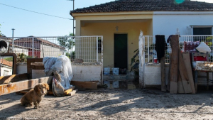 Τρίκαλα-Καρδίτσα: Άρχισαν καθαρισμοί σπιτιών και επιχειρήσεων, όπου υποχωρούν τα νερά