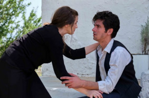 Άγριες Μέλισσες: Σχεδόν 2 εκατ. τηλεθεατές παρακολούθησαν το φινάλε της σειράς