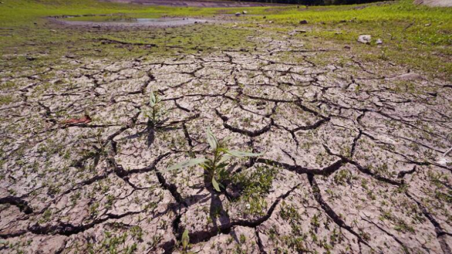 Δυτική Ελλάδα: Ξεκίνησε η λήψη μέτρων για την αντιμετώπιση της ξηρασίας
