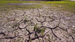 Δυτική Ελλάδα: Ξεκίνησε η λήψη μέτρων για την αντιμετώπιση της ξηρασίας