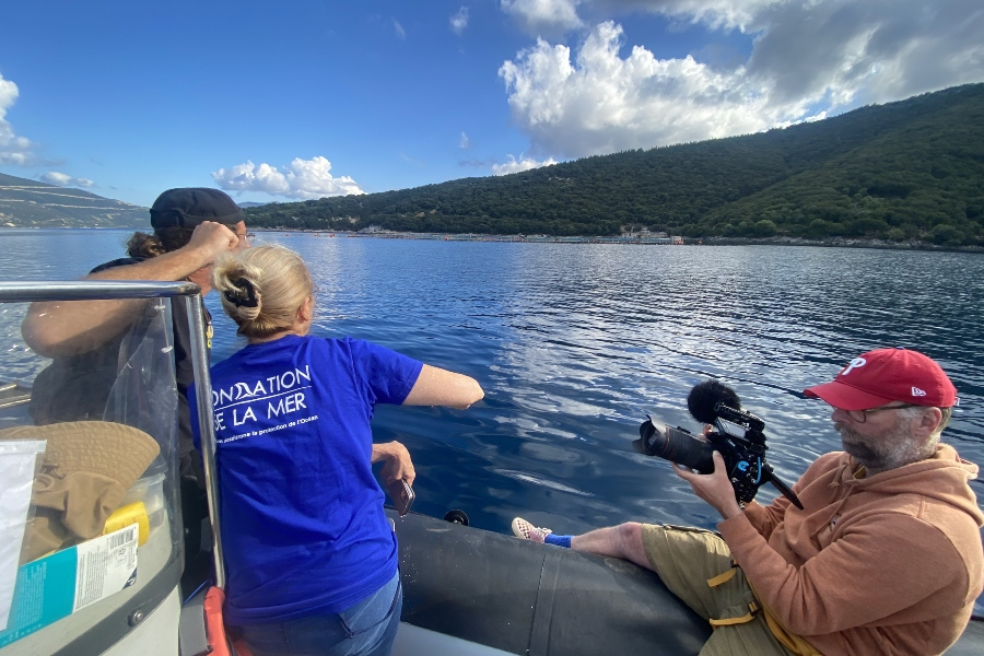 Συνεργασία Schneider Electric - Digital Realty για την προστασία της μεσογειακής φώκιας Monachus Monachus