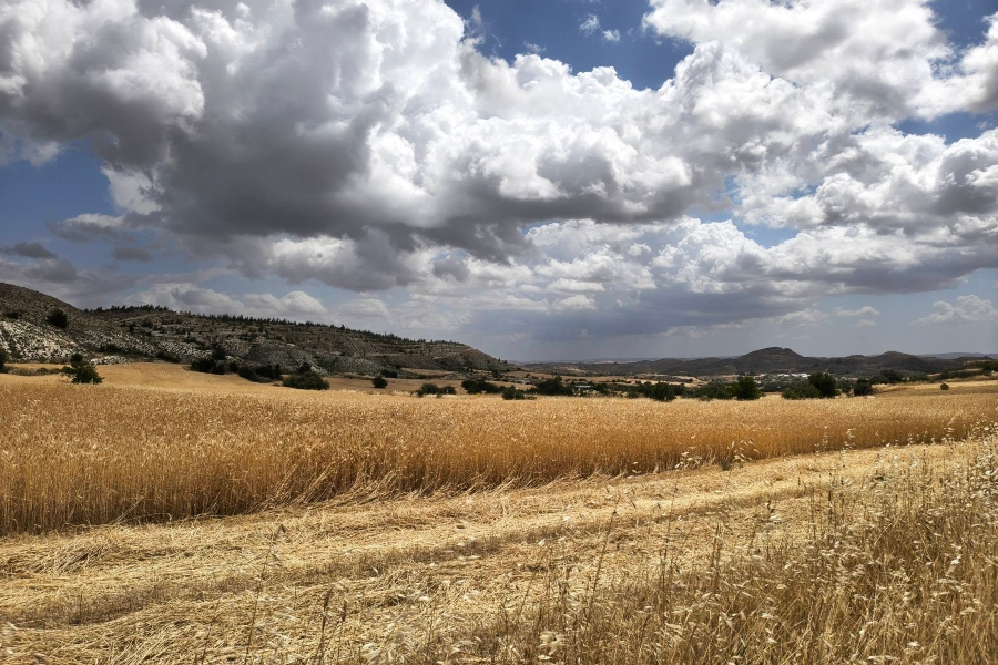 ΕΕ: Στοχεύει στο 25% της βιολογικής γεωργίας έως το 2030