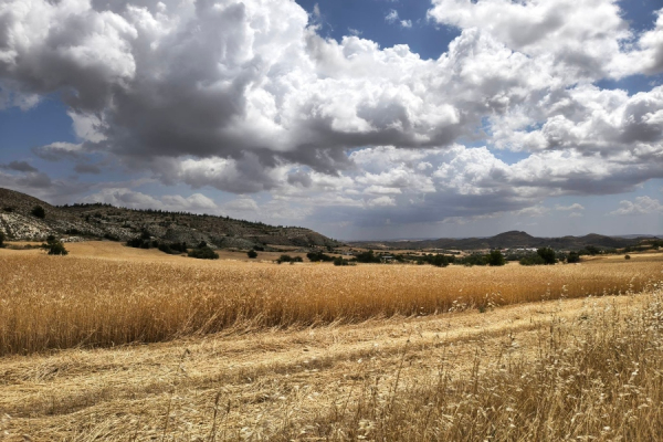 ΕΕ: Στοχεύει στο 25% της βιολογικής γεωργίας έως το 2030