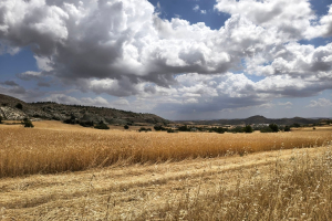 ΕΕ: Στοχεύει στο 25% της βιολογικής γεωργίας έως το 2030