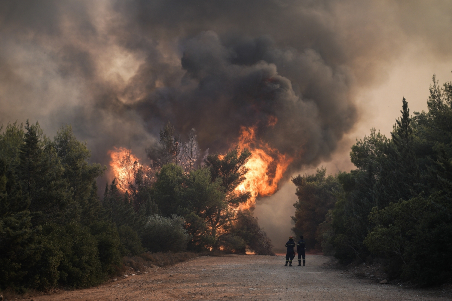 Πυροσβέστες από ΕΕ στην Ελλάδα για τις δασικές πυρκαγιές