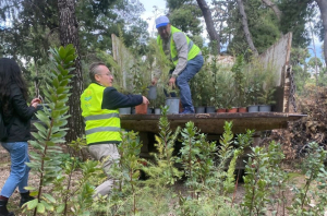 Δήμος Αθηναίων: 500 νέα δέντρα στο Άλσος Ιλισίων
