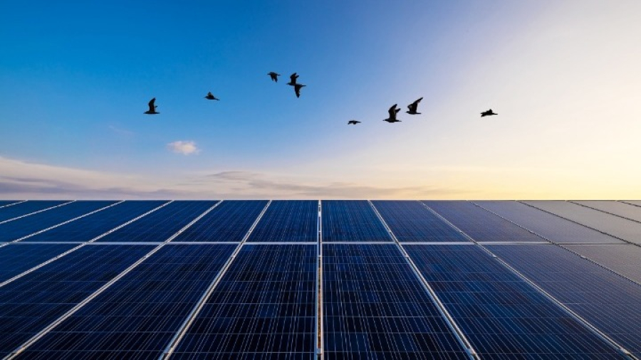 Φωτοβολταϊκά στη Στέγη: Τα οφέλη, το ύψος της επιδότησης και οι δικαιούχοι