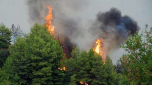 Σε ύφεση η πυρκαγιά στη Φούρκα του δήμου Κασσάνδρας στη Χαλκιδική