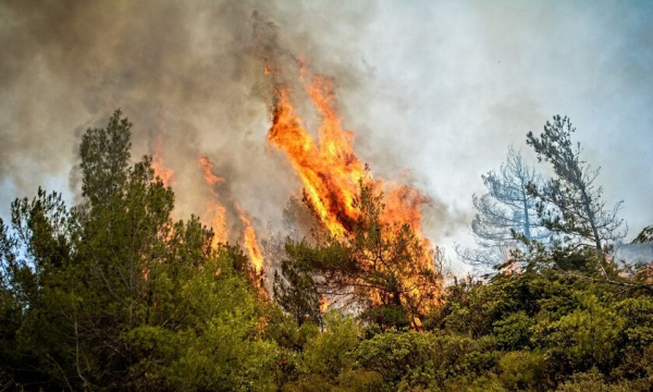 Νέα φωτιά στην Κύμη κοντά σε νοσοκομείο