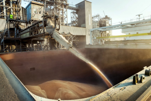 Έναν μήνα μετά τη συμφωνία για τα σιτηρά οι εξαγωγές επιταχύνονται σιγά-σιγά (DW)