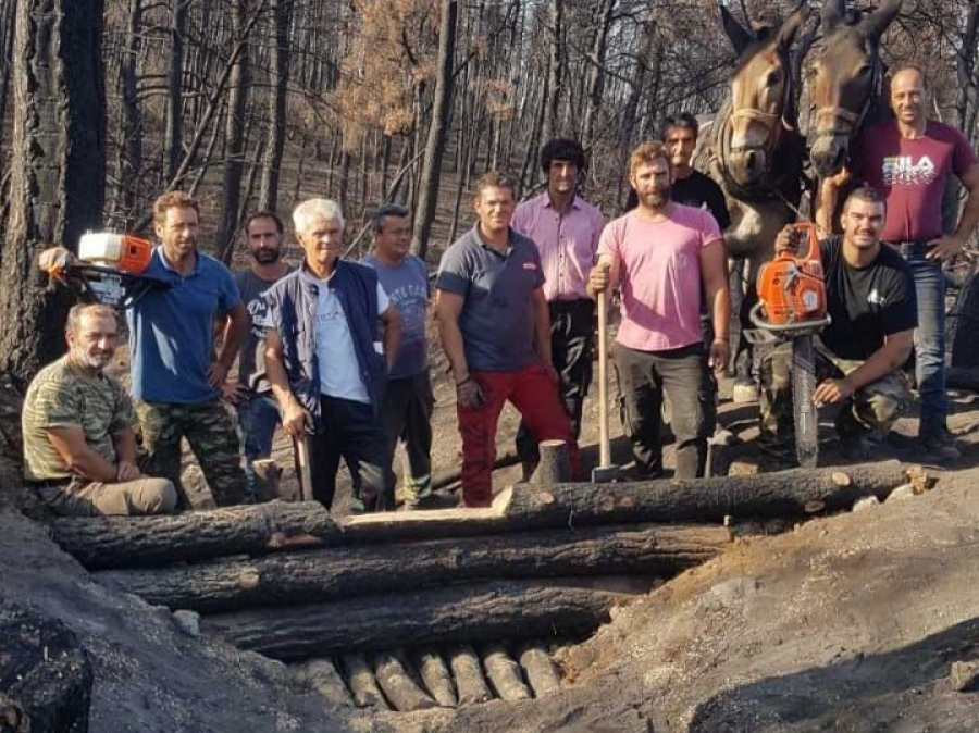 Σε πλήρη εξέλιξη οι εργασίες αποκατάστασης των πυρόπληκτων περιοχών στη Βόρεια Εύβοια