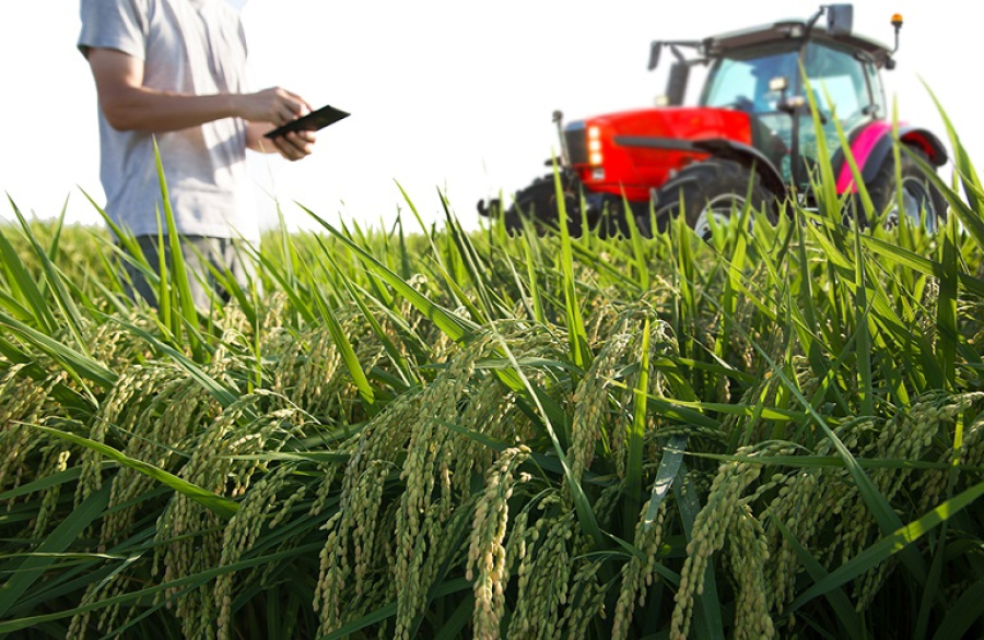 Έναρξη αιτήσεων υπαγωγής στο καθεστώς Αγροδιατροφής του νέου Αναπτυξιακού Νόμου