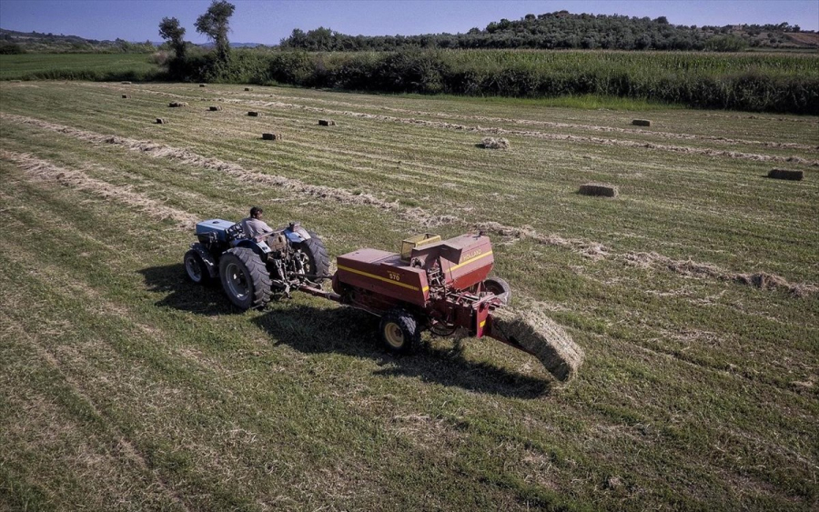 ΥΠΑΑΤ: Ολοκληρώθηκαν οι πληρωμές της πρώτης δόσης για νέους αγρότες